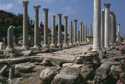 Colonnade by Roman